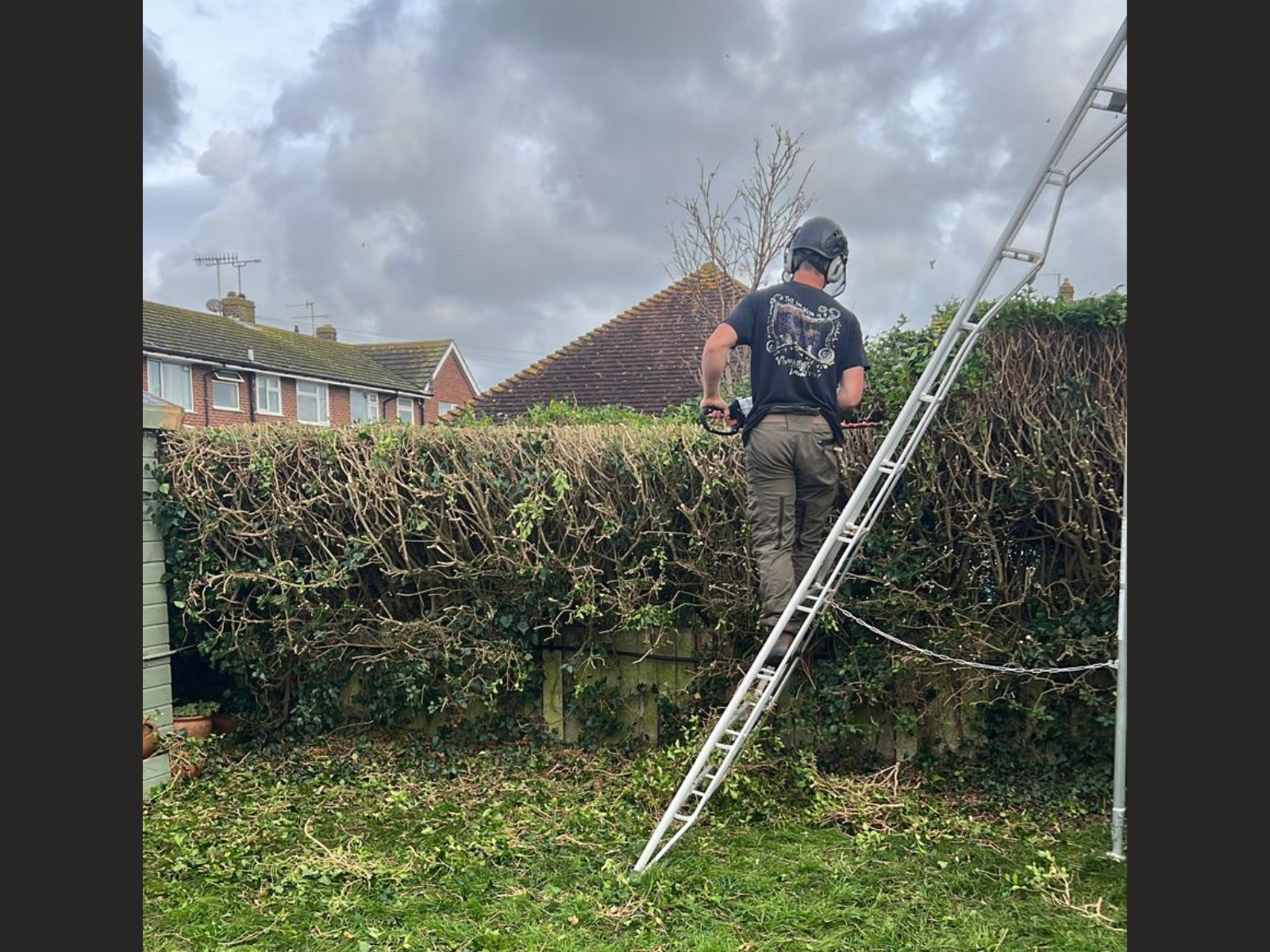 Hedge Cutting & Trimming Services